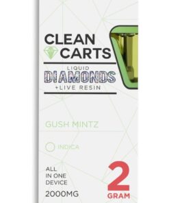 Clean Carts – Gush Mintz 2g Premium